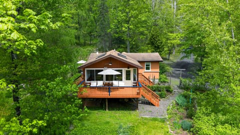 A peaceful wooded retreat with a spacious deck surrounded by lush greenery—perfect for morning coffee, outdoor lounging, and quiet nature-filled escapes.