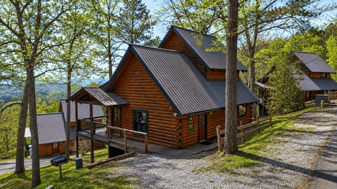 Hillside log cabins tucked among the trees, offering a quiet mountain escape with sweeping valley views.