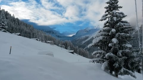 Winter, Ski School, Skiing, Hiking, On site, Mountain view