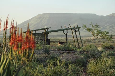 Spring, Day, Natural landscape, Mountain view