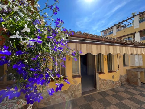 Property building, Spring, Day