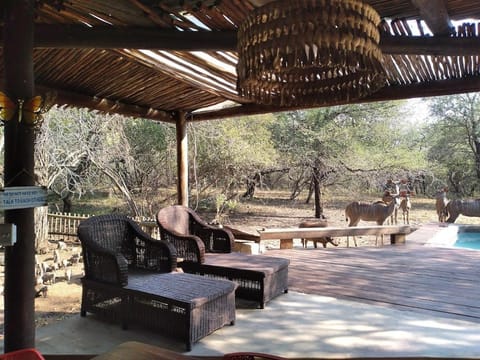 Patio, Natural landscape, Garden view