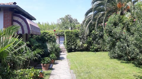 Natural landscape, Garden, Garden view