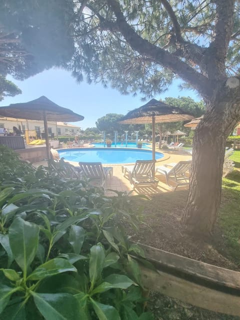 Garden, Swimming pool