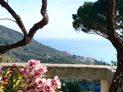 Natural landscape, Sea view