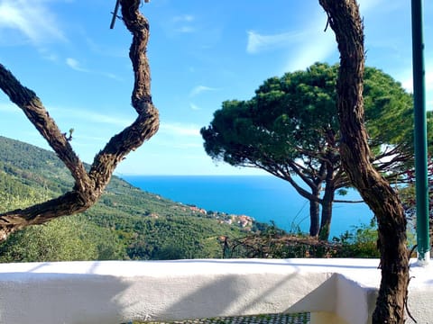 Natural landscape, Sea view