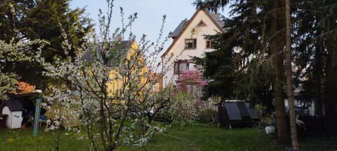 Property building, Garden, Garden view