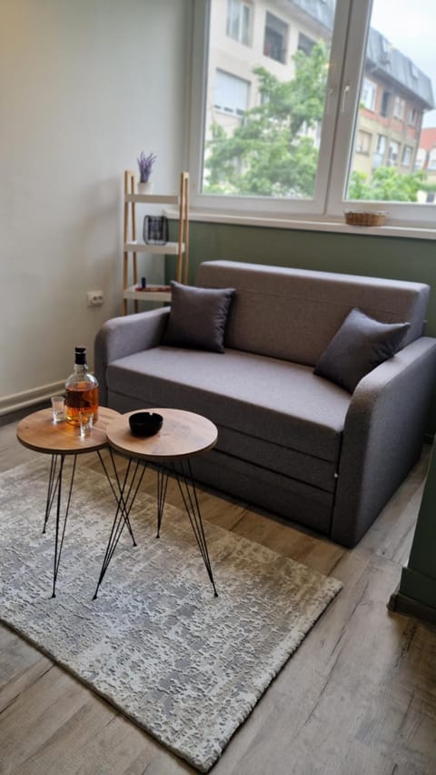 Stan Ideja Apartment in Novi Sad