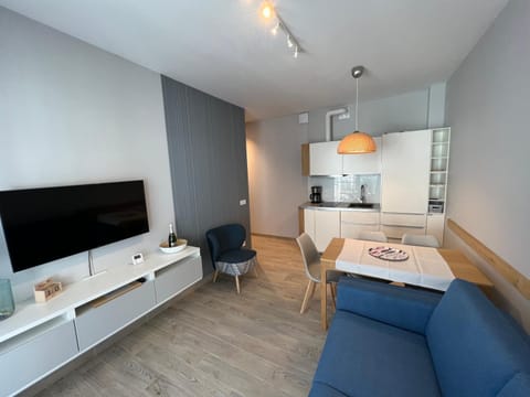 Communal lounge/ TV room, TV and multimedia, Kitchen or kitchenette, Living room, Photo of the whole room, Seating area, Dining area