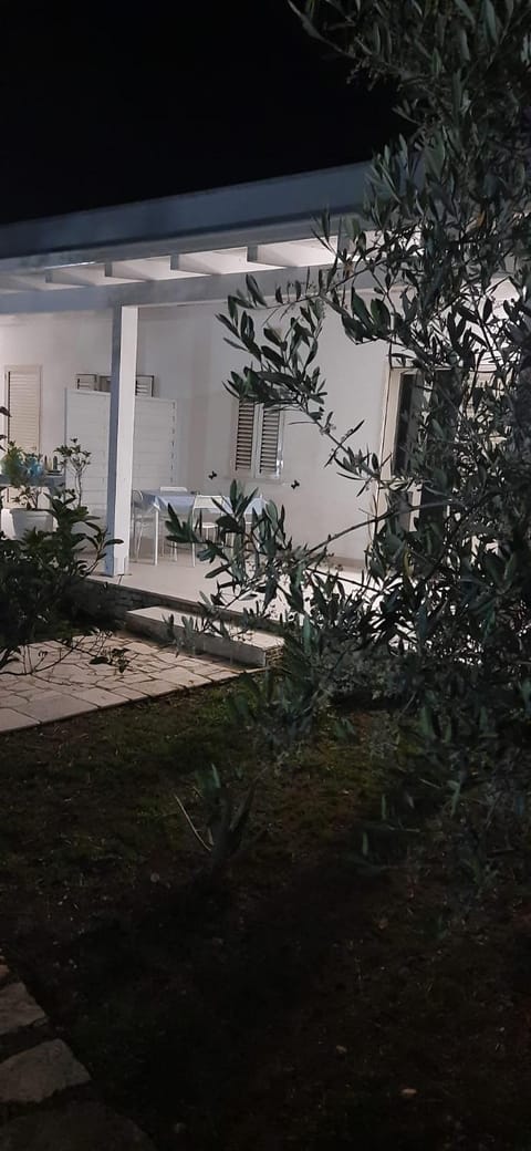 Property building, Garden, Garden view