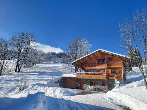 La petite Anfiane Chalet in Le Grand-Bornand