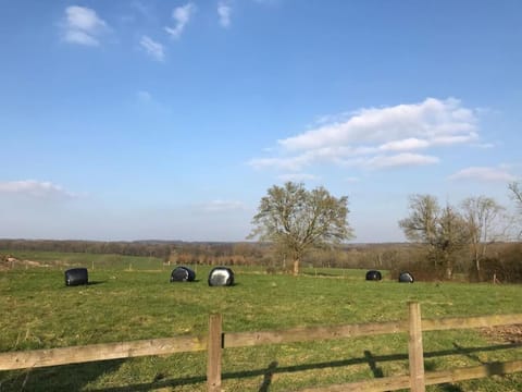 The Cowshed Apartment in Test Valley District