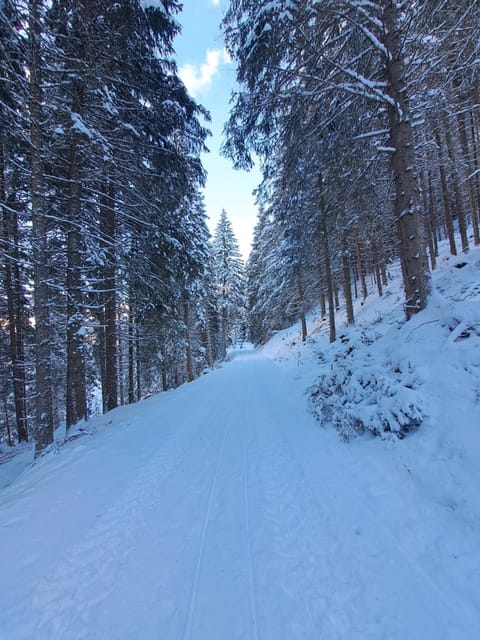 Ferienwohnung Hartlgut Farm Stay in Bad Hofgastein