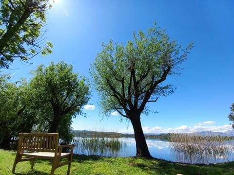 Garden, Lake view, furniture