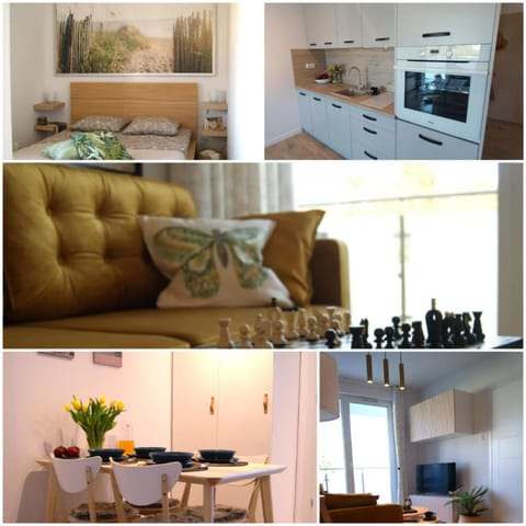 Kitchen or kitchenette, minibar, pet friendly, stove