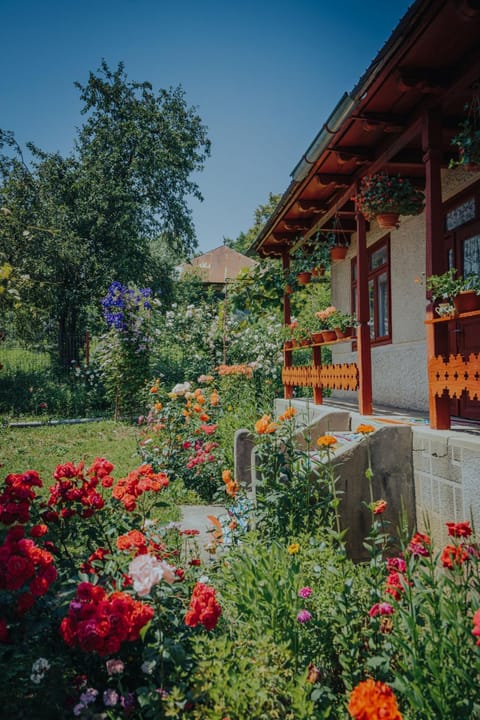 Property building, Day, Garden, Garden view
