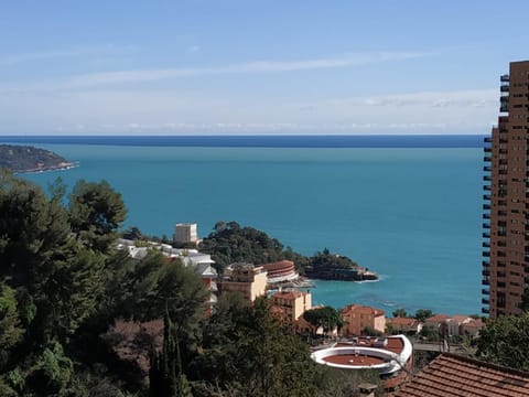 Beautiful Sea View Home Overlooking Monaco Apartment in Roquebrune-Cap-Martin
