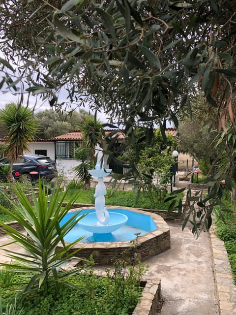 Natural landscape, Garden view