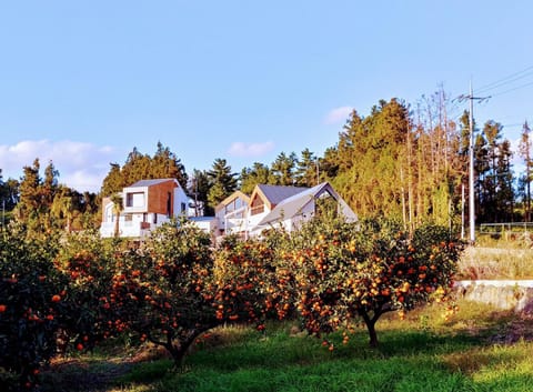 Property building, Day, Natural landscape