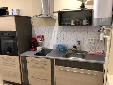 Sci ZLR Apartment in Saint-Étienne