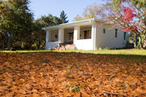 Property building, Garden, Autumn, Garden view, Garden view
