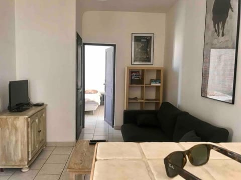 Appartement face aux Arènes Apartment in Arles