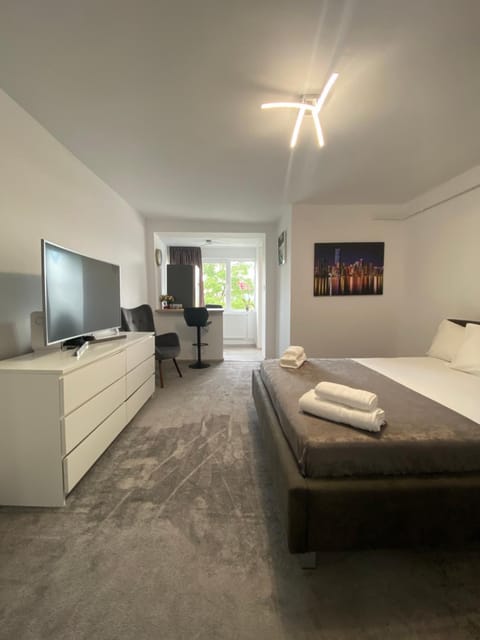 ANS House Apartment in Serbia