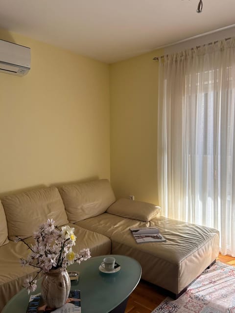 Living room, Seating area, air conditioner