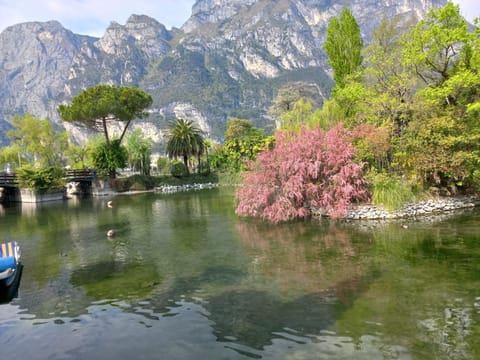 Riva del Garda Apartment in Riva del Garda