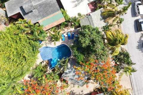 Day, Bird's eye view, Garden, Garden view, Pool view, Swimming pool