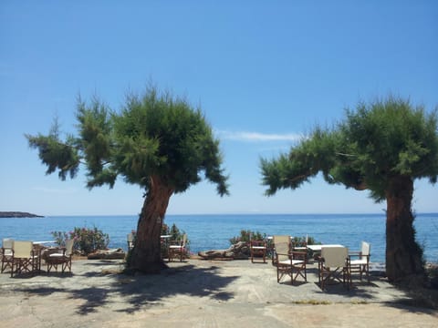 Restaurant/places to eat, Natural landscape, Beach, Sea view