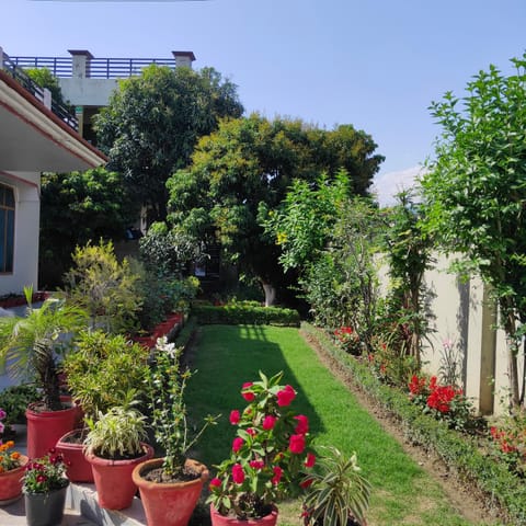 Garden, Garden, Garden view