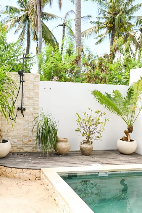 Garden, Swimming pool