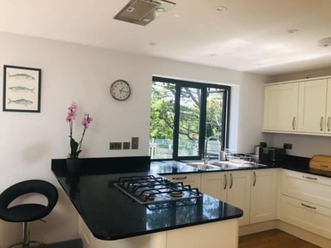 Sea Cliff View Designer Home House in Lyme Regis