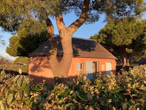 Property building, Garden, Garden view