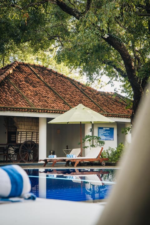 Swimming pool, Swimming pool