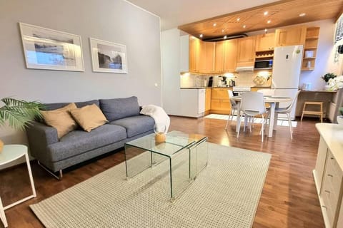 Kodikas ja viihtyisä kaksio keskustassa Apartment in Finland