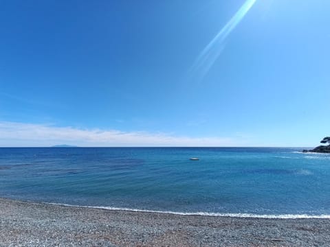 Beach, On site