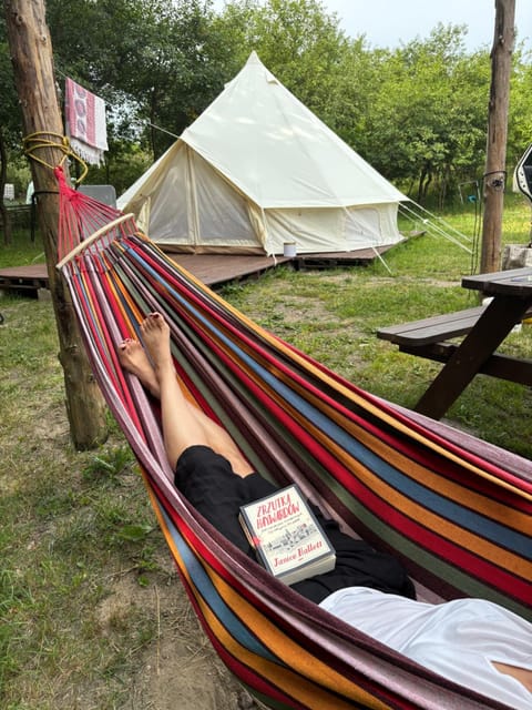 Day, Natural landscape, Garden, sunbed