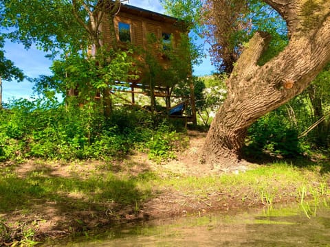 Natural landscape
