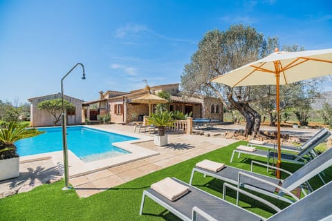 Swimming pool, sunbed