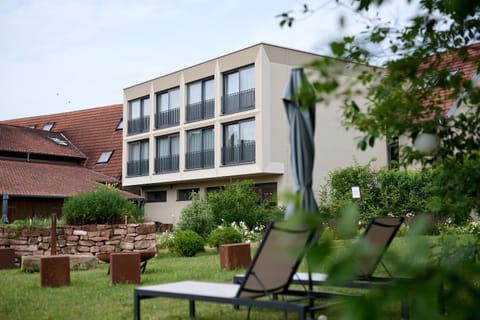Garden, Garden, Garden view, sunbed