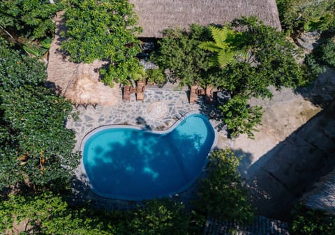 Bird's eye view, Swimming pool, Swimming pool