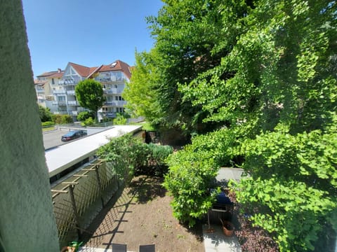Day, Garden, Inner courtyard view