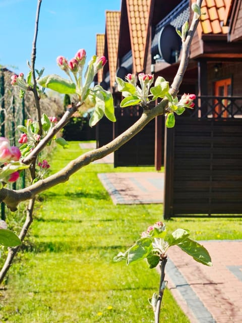 Property building, Spring, Day, Garden, Garden view