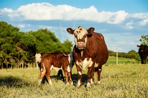 Natural landscape, Activities