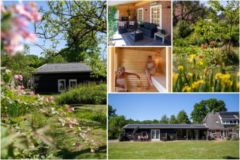 Property building, Garden, Sauna