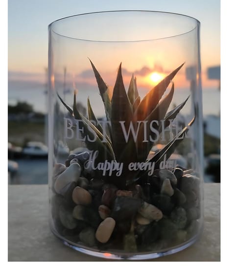 Naxos Crafts' House House in Naxos