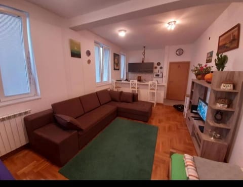 TPC 9 Apartment in Belgrade