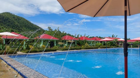 Swimming pool